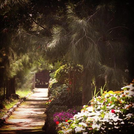 Lillypond Camp Hotel Elmenteita ภายนอก รูปภาพ