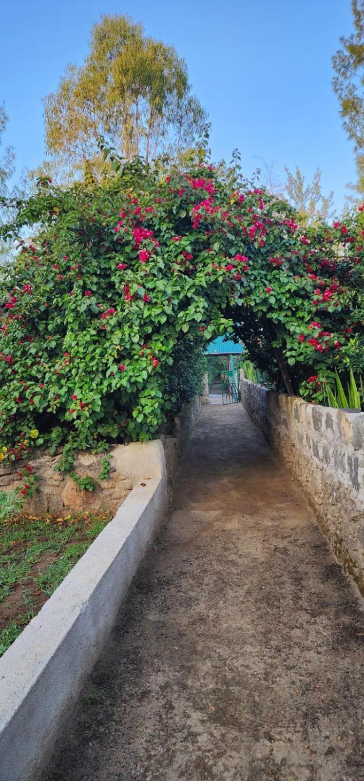 Lillypond Camp Hotel Elmenteita ภายนอก รูปภาพ